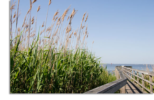 beachwalk folly beach vince perna