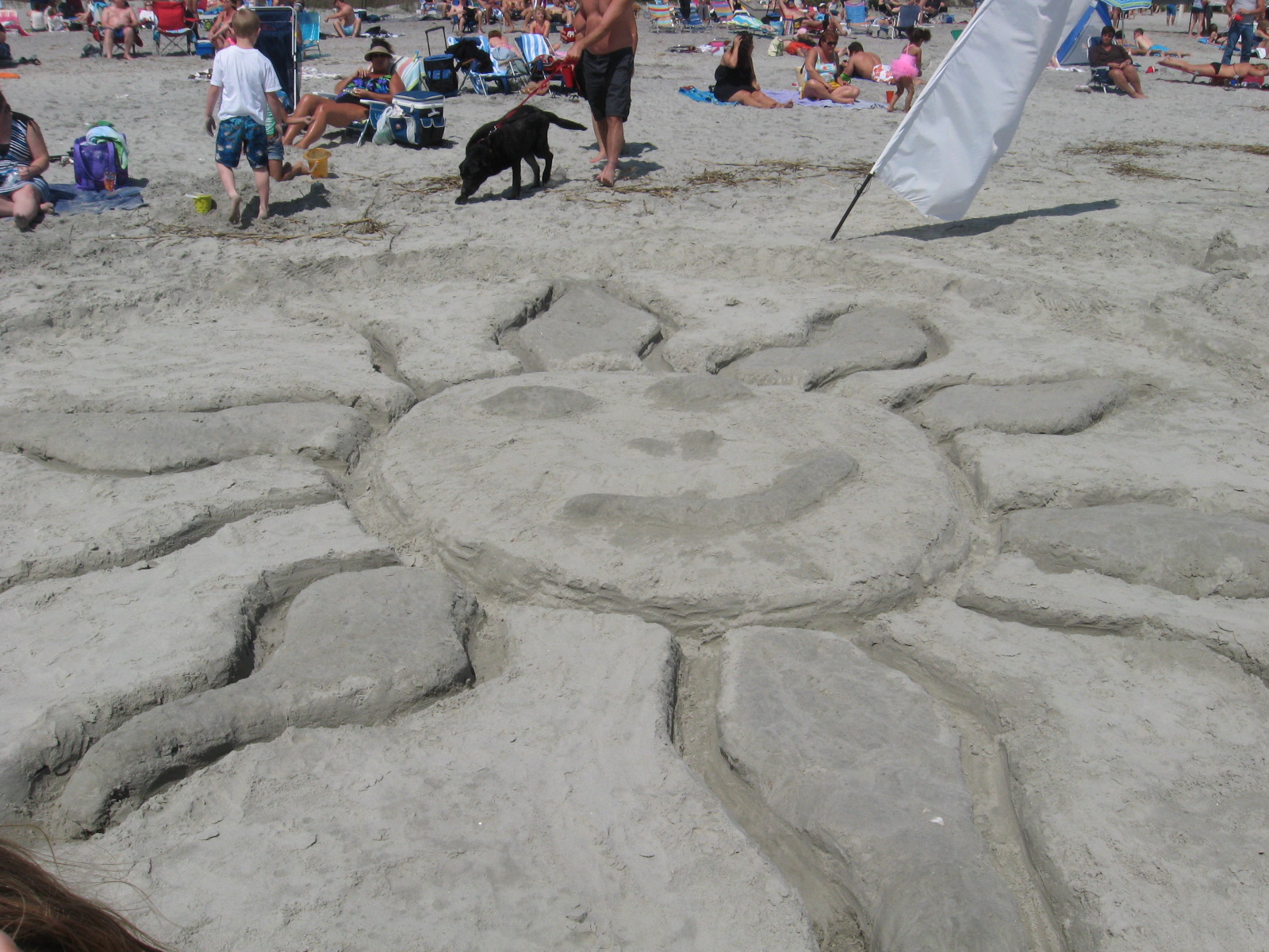 Folly Beach Sun